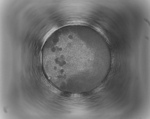 X0000102031275200808151332