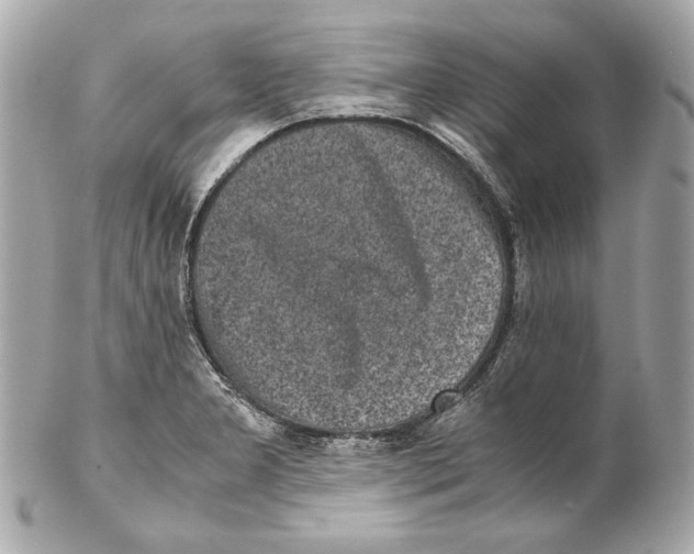 X0000102031277200808151331