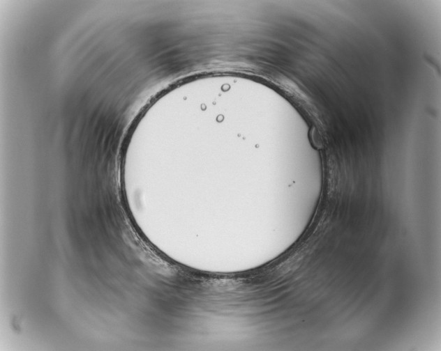 X0000102031280200808151331