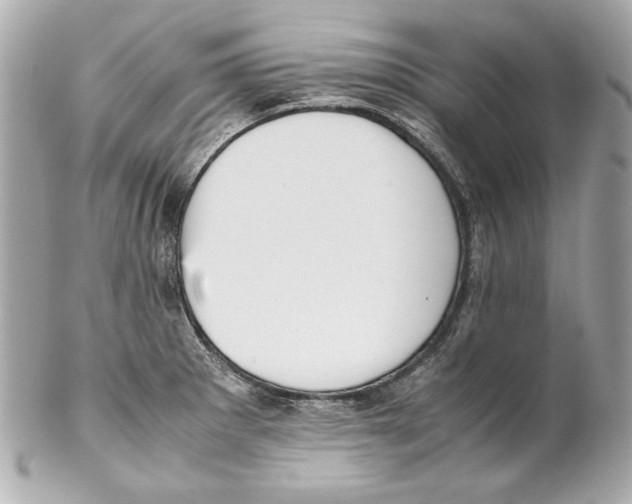 X0000102031281200808151331