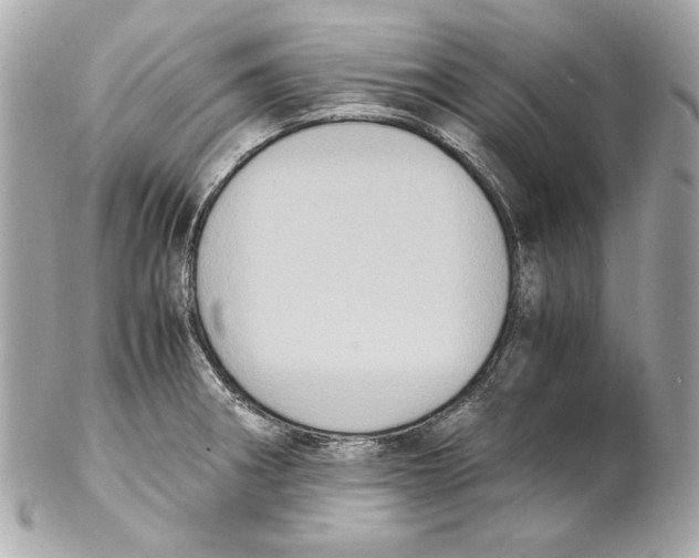 X0000102031282200808151331