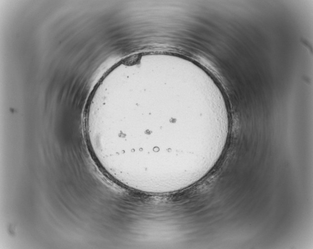 X0000102031283200808151331