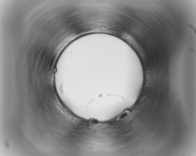 X0000102031284200808151331