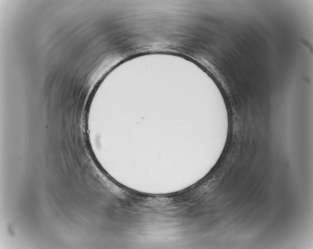 X0000102031285200808151331