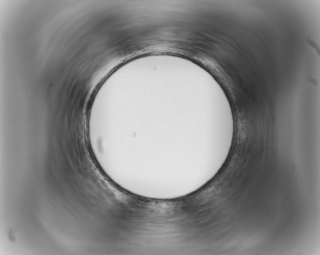 X0000102031286200808151331