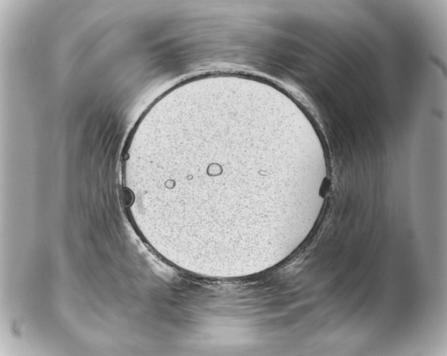 X0000102031287200808151331