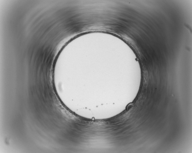 X0000102031288200808151331