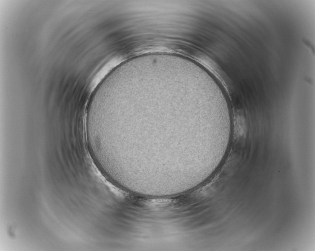 X0000102031290200808151331