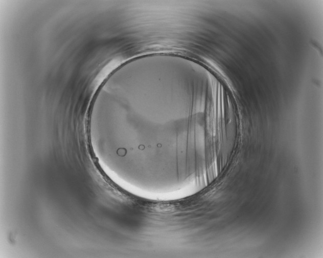 X0000102031291200808151331