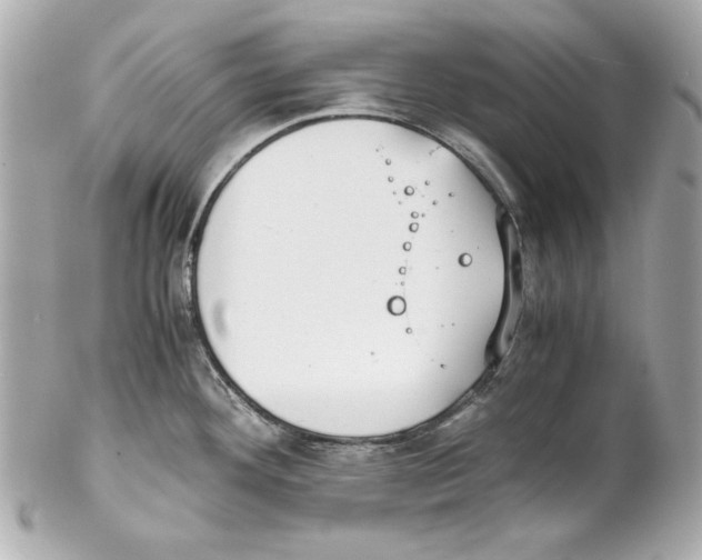 X0000102031292200808151331