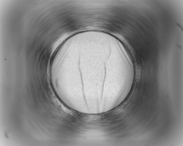 X0000102031294200808151331