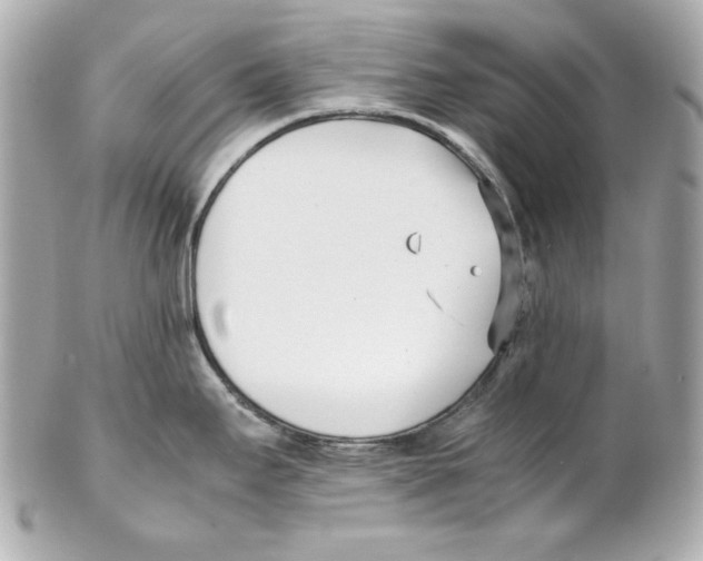 X0000102031295200808151331