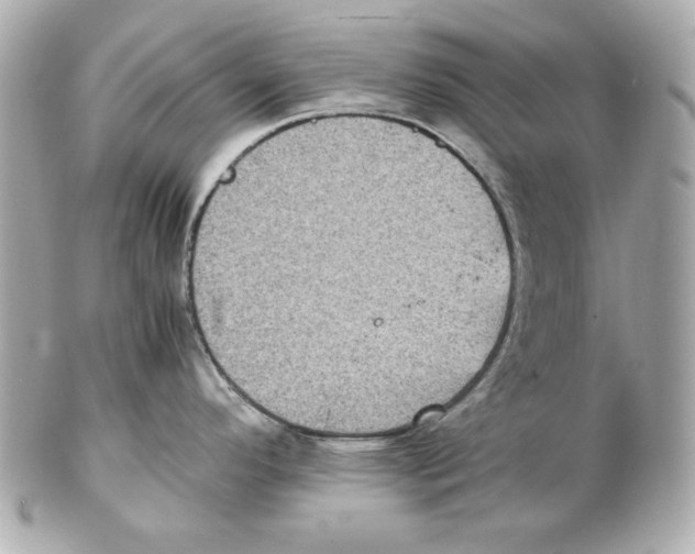 X0000102031296200808151331