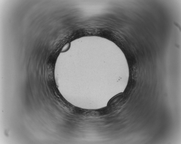 X0000102031298200808151331