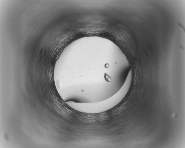 X0000102031300200808151331