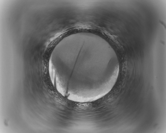 X0000102031303200808151331