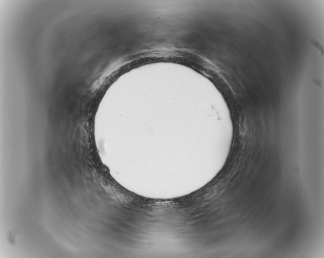 X0000102031304200808151331