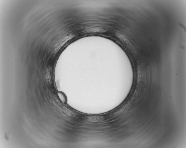 X0000102031305200808151331