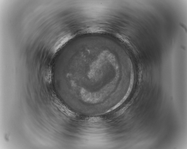 X0000102031306200808151331