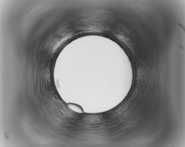 X0000102031307200808151331