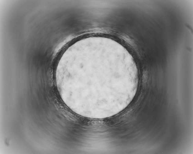 X0000102031310200808151331