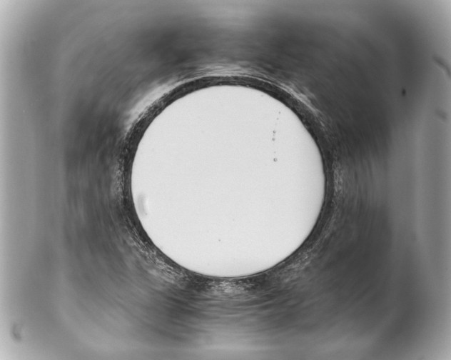 X0000102031311200808151331