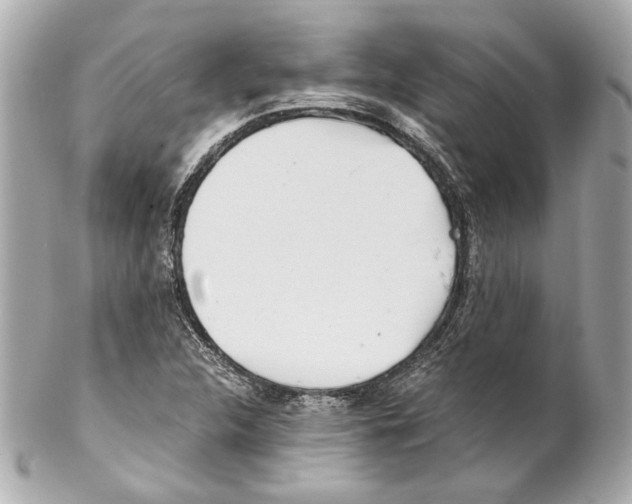 X0000102031312200808151331