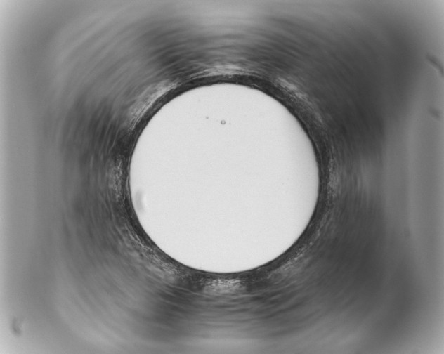 X0000102031313200808151331