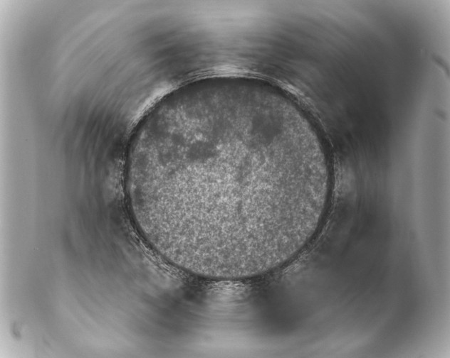 X0000102031314200808151331