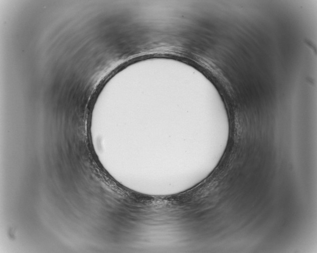 X0000102031316200808151331