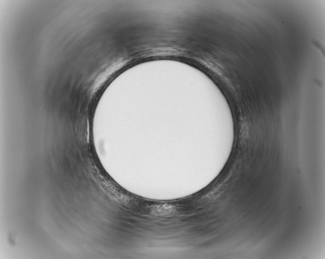 X0000102031317200808151331