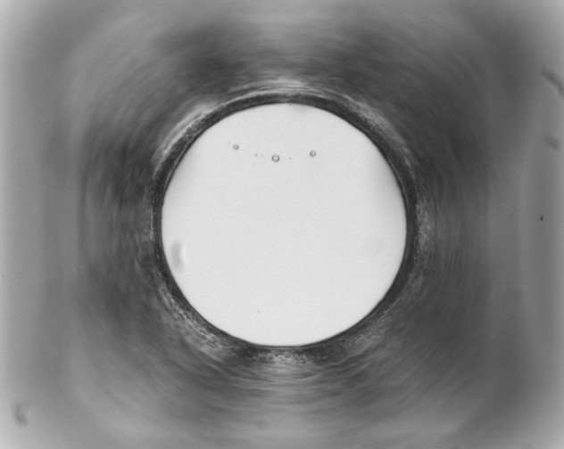 X0000102031318200808151331