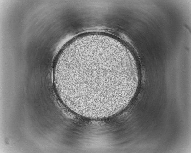 X0000102031320200808151331