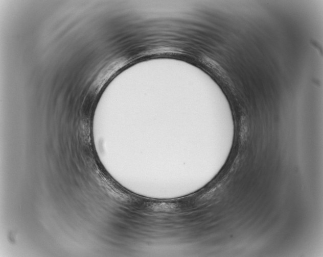 X0000102031321200808151331