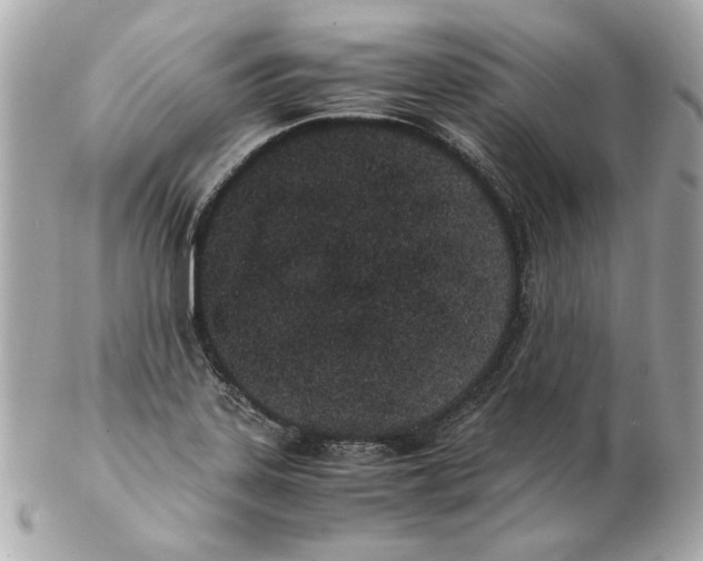 X0000102031323200808151331