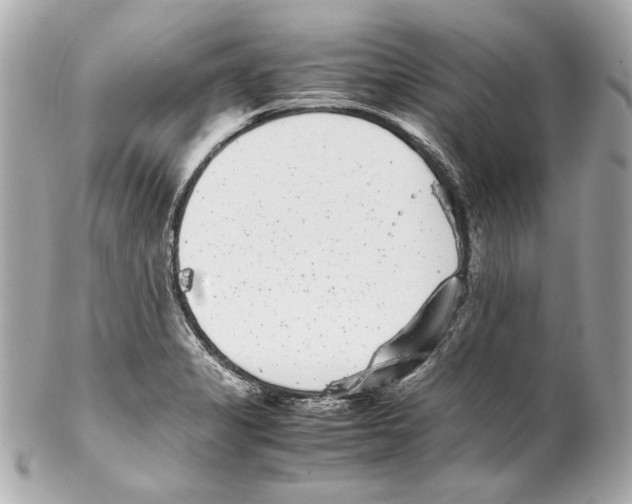 X0000102031325200808151331