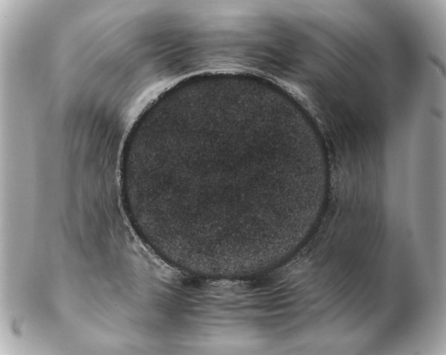 X0000102031327200808151331