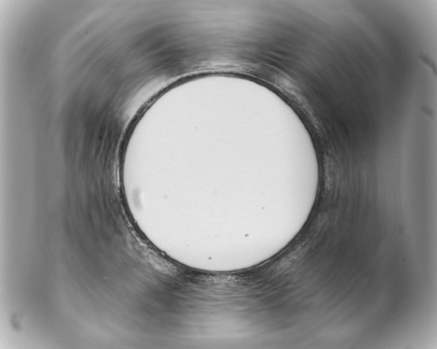 X0000102031328200808151331