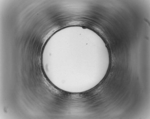 X0000102031330200808151331