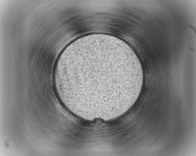 X0000102031331200808151331