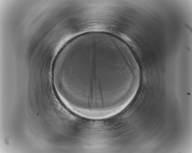 X0000102031334200808151331