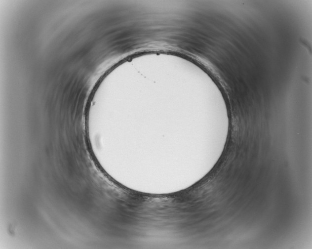 X0000102031335200808151331