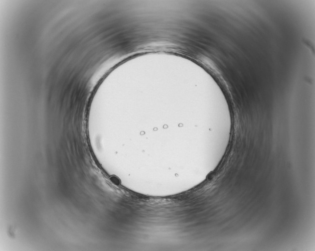 X0000102031336200808151331