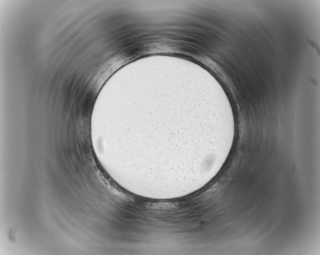 X0000102031337200808151331