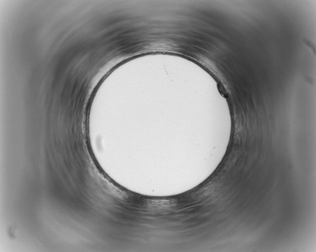 X0000102031339200808151331