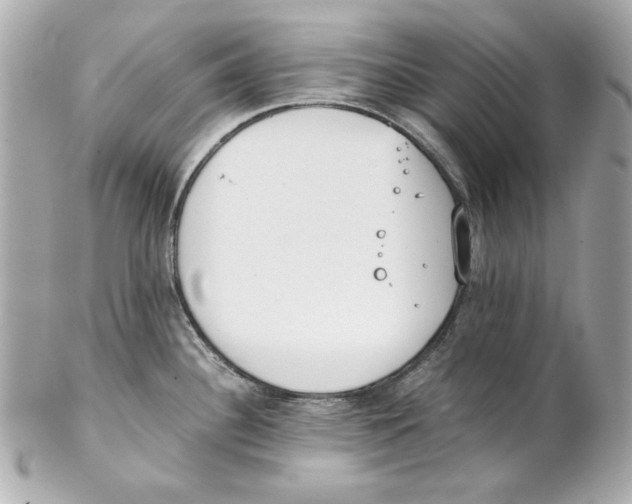 X0000102031340200808151331