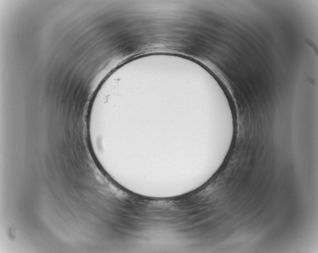 X0000102031341200808151331