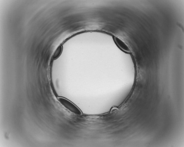 X0000102031342200808151331