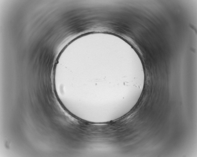 X0000102031343200808151331