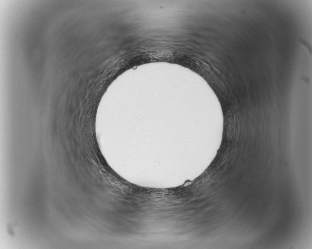 X0000102031345200808151331